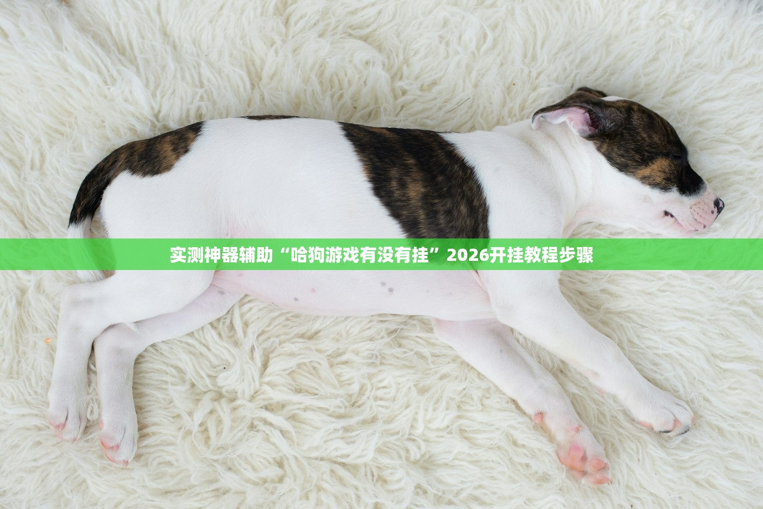 实测神器辅助“哈狗游戏有没有挂”2026开挂教程步骤