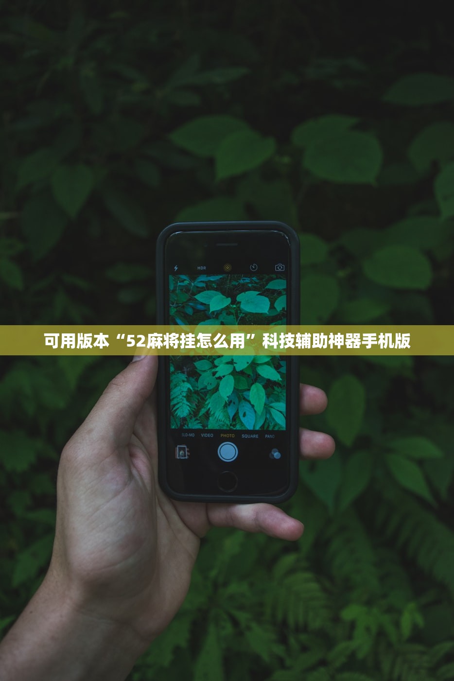 免高速费的节日2022年（免高速费的时间2020）