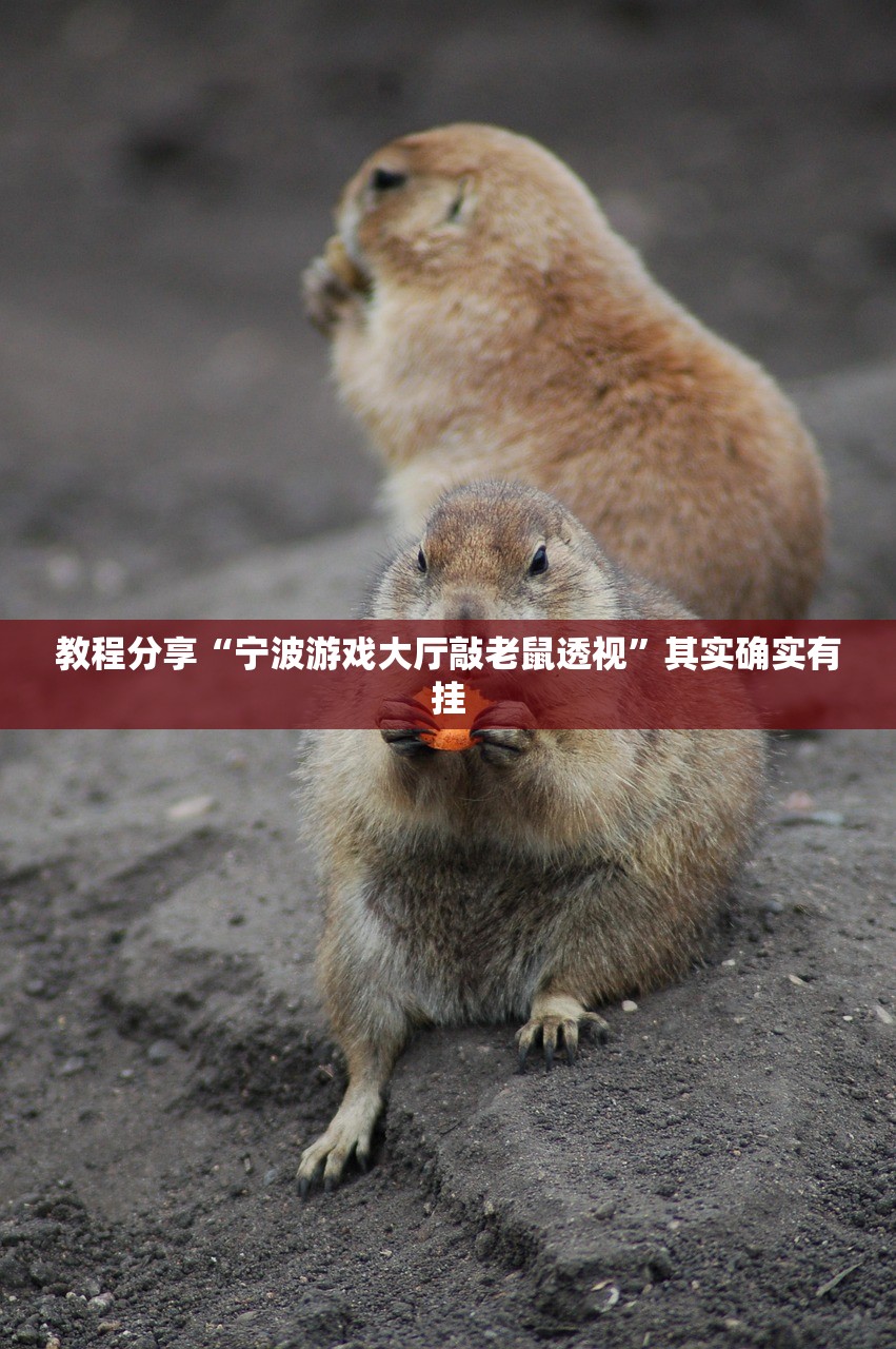 浙江新增1例本土无症状/浙江新增1例本土无症状感染者