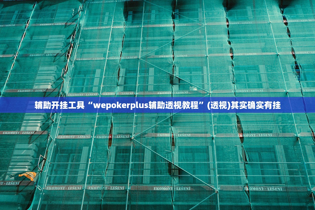 辅助开挂工具“wepokerplus辅助透视教程”(透视)其实确实有挂