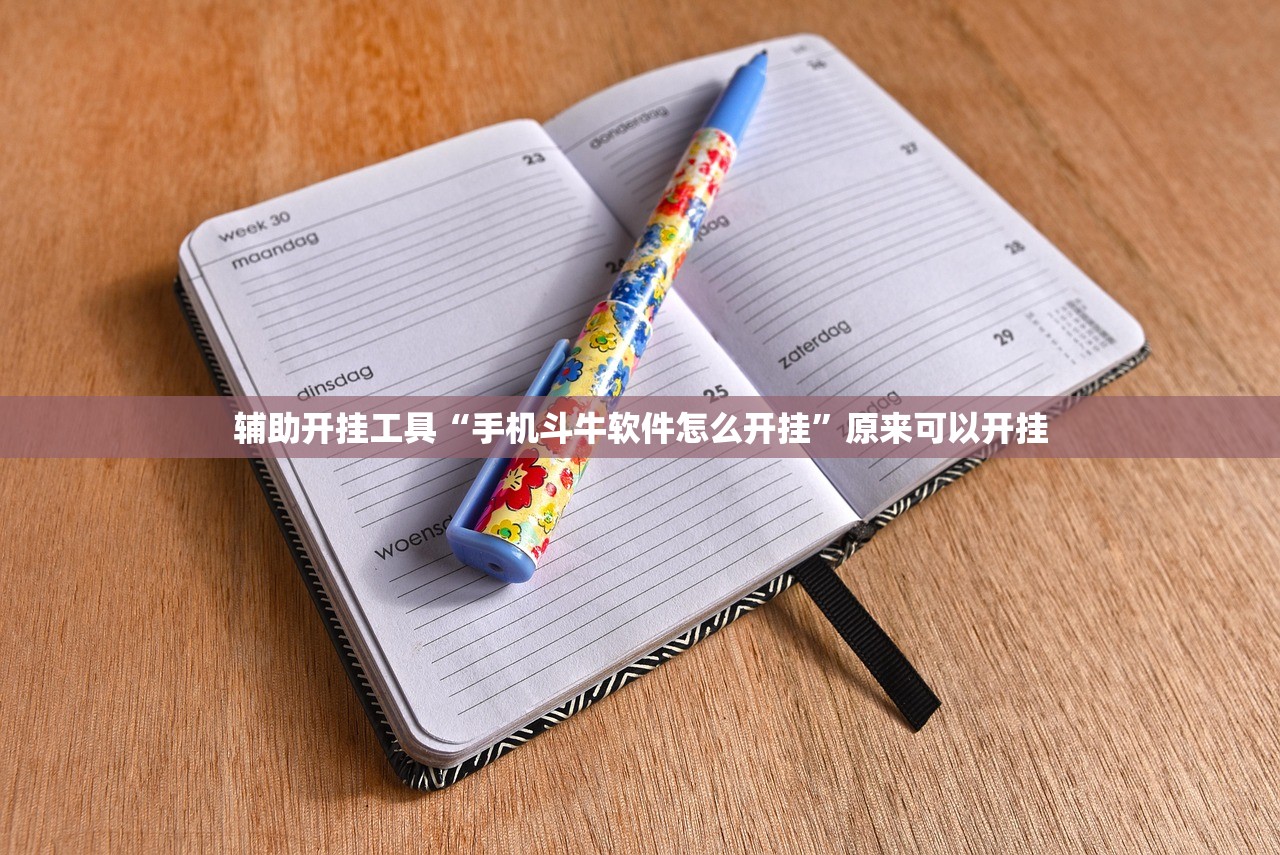辅助开挂工具“手机斗牛软件怎么开挂	”原来可以开挂