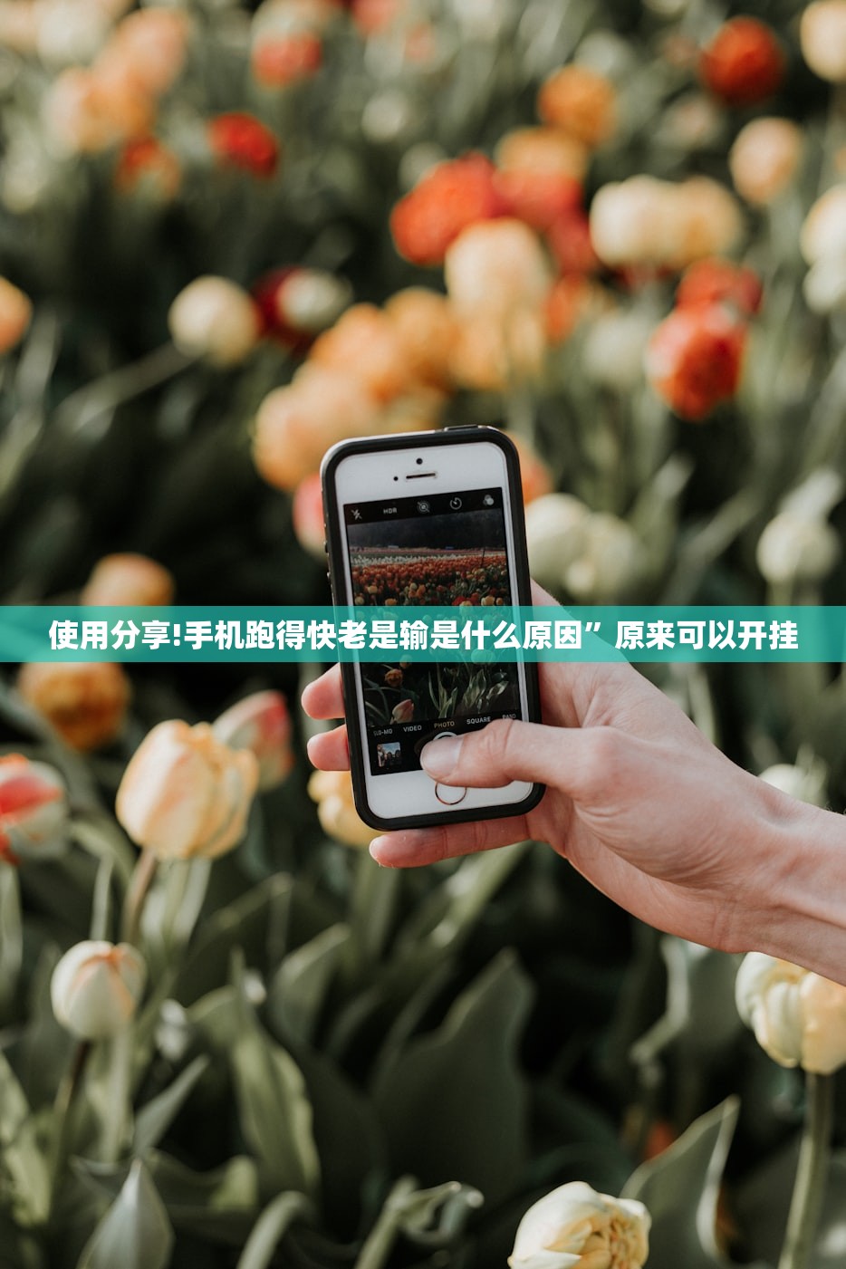 使用分享!手机跑得快老是输是什么原因”原来可以开挂
