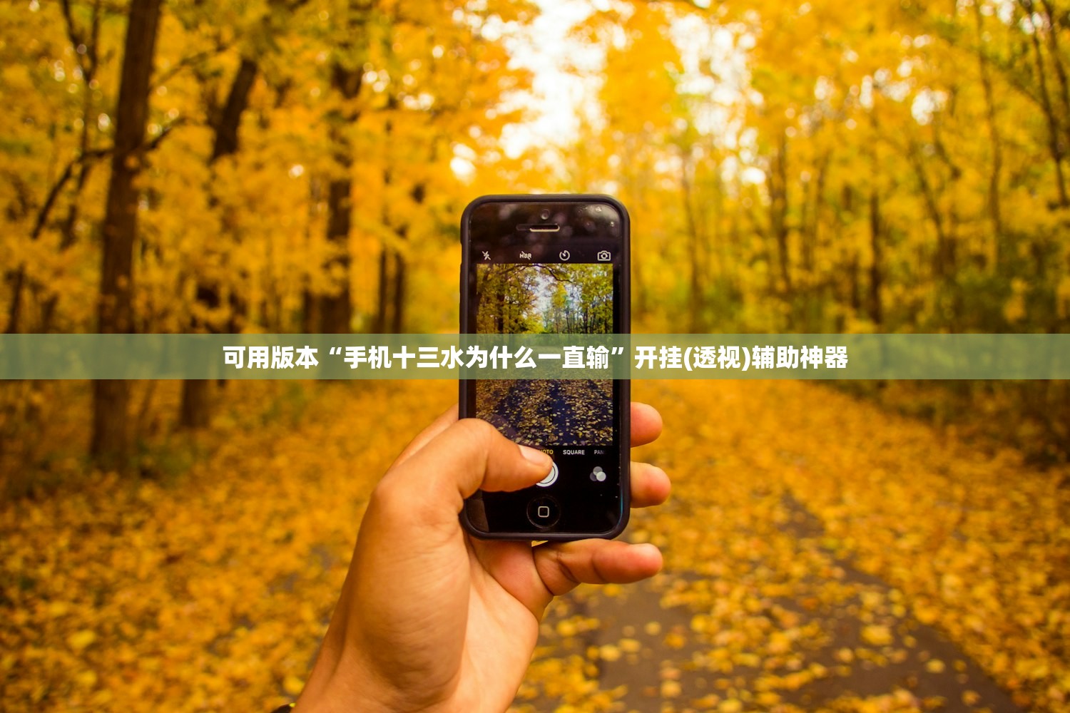 【云南新增11例本土确诊病例,云南新增11例本土确诊病例多少】