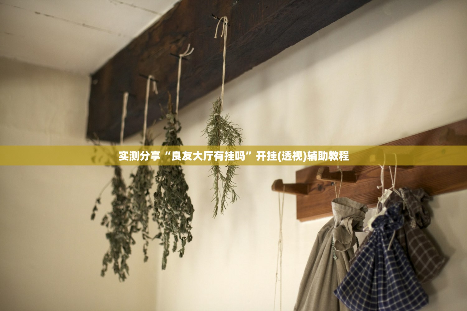 强力推荐“微信小程序四川麻将破解器”详细分享装挂步骤