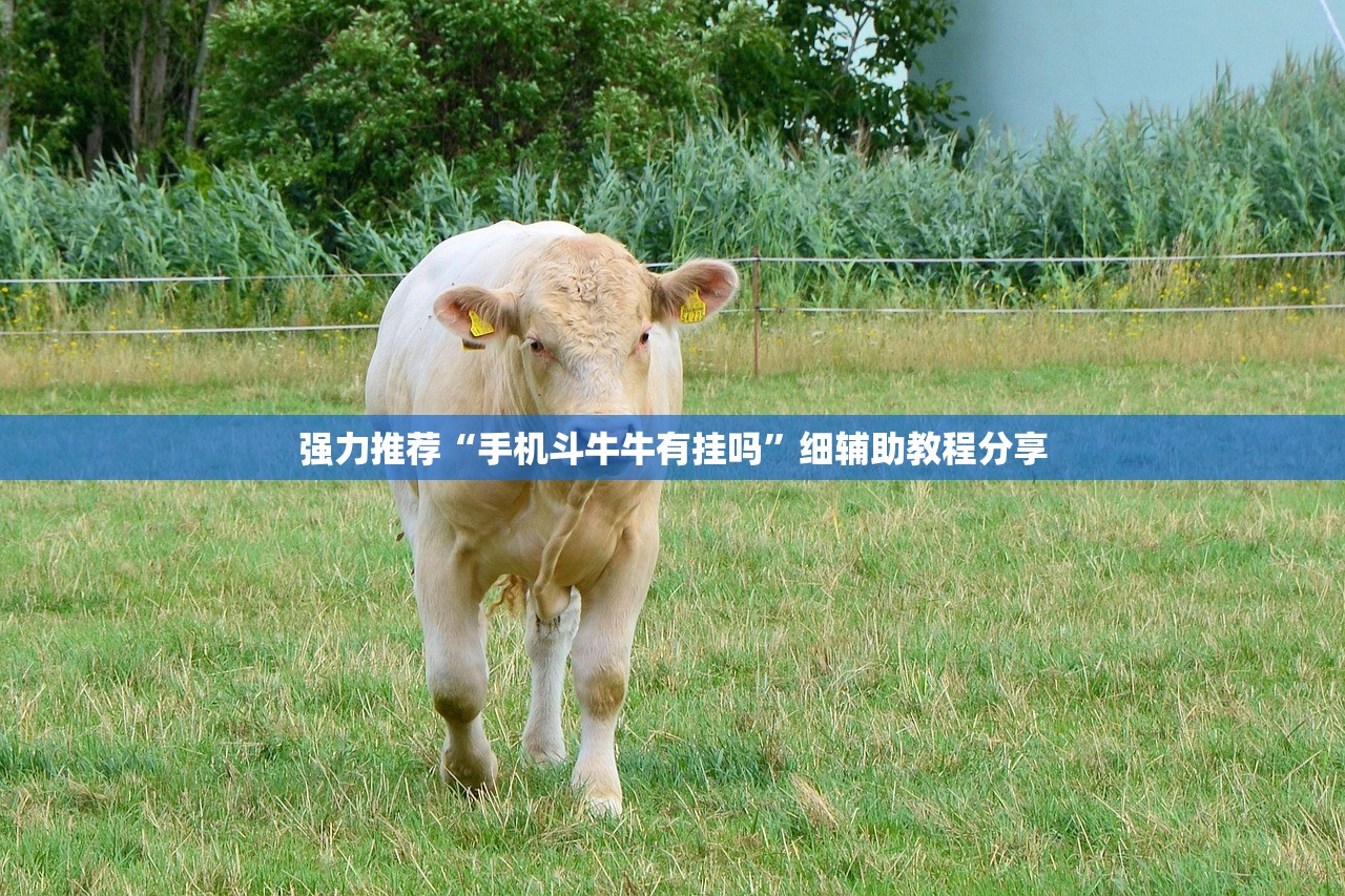 强力推荐“手机斗牛牛有挂吗”细辅助教程分享