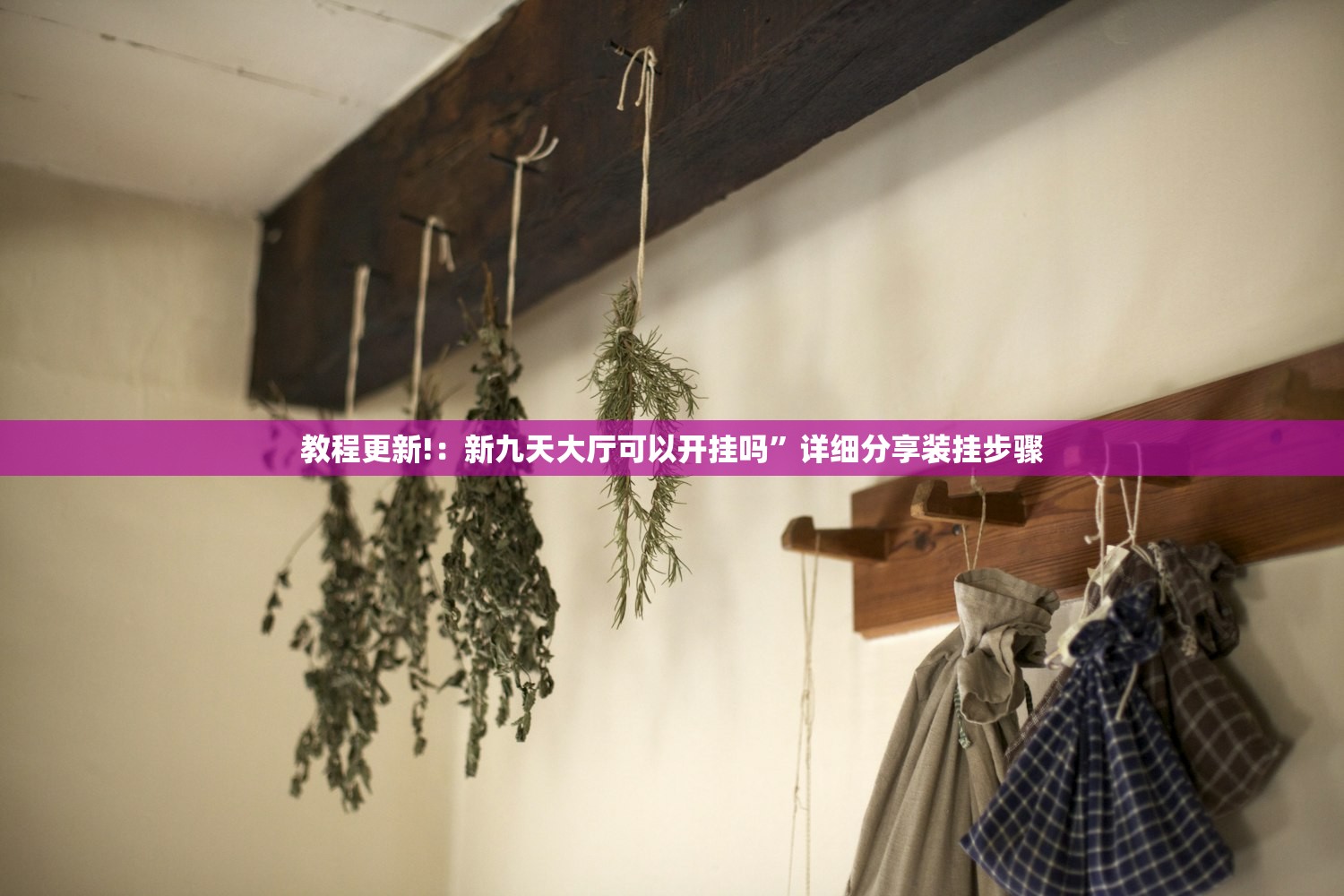教程更新!：新九天大厅可以开挂吗”详细分享装挂步骤