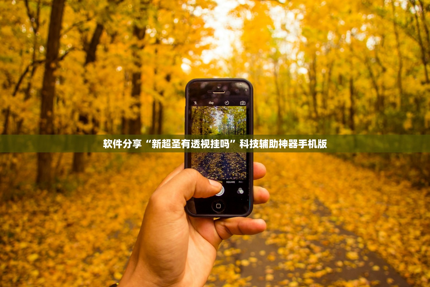 软件分享“新超圣有透视挂吗”科技辅助神器手机版