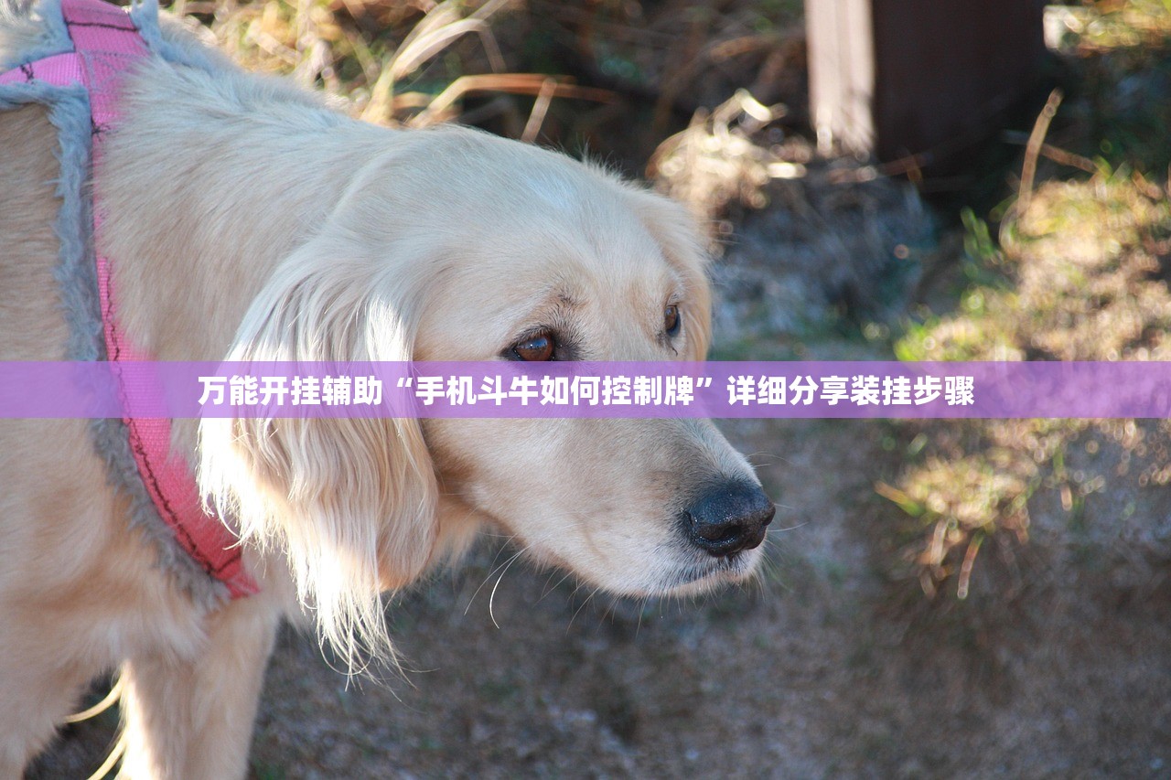 春节高速免费时间2022免费几天/春节高速免费时间安排
