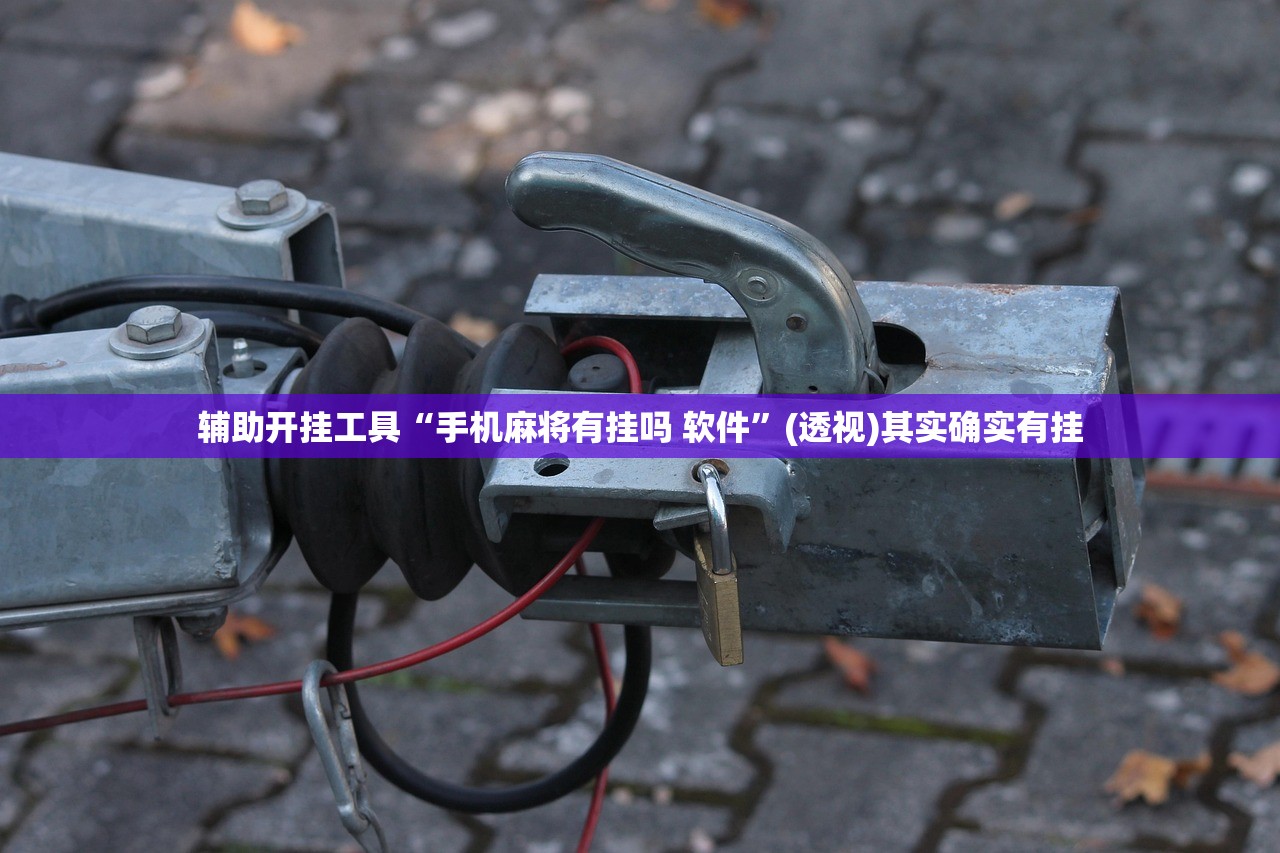 分享实测辅助“闲来陕西麻将怎么开挂”原来可以开挂