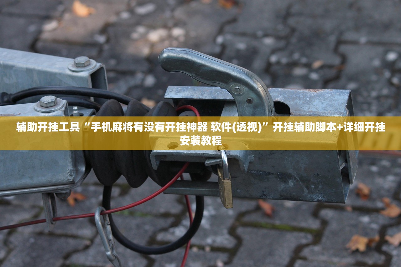 辅助开挂工具“手机麻将有没有开挂神器 软件(透视)”开挂辅助脚本+详细开挂安装教程