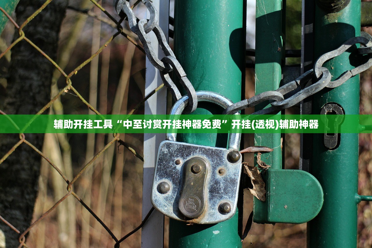 辅助开挂工具“中至讨赏开挂神器免费”开挂(透视)辅助神器