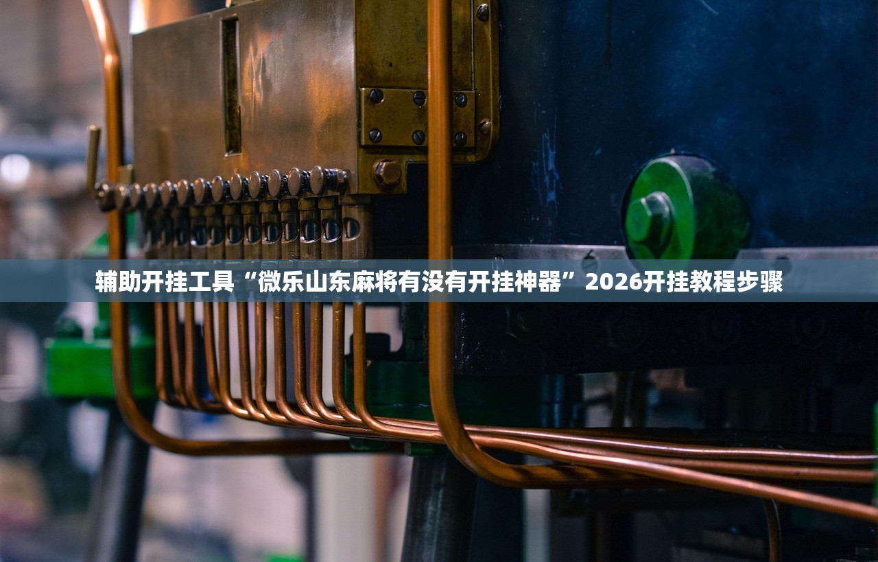 辅助开挂工具“微乐山东麻将有没有开挂神器”2026开挂教程步骤