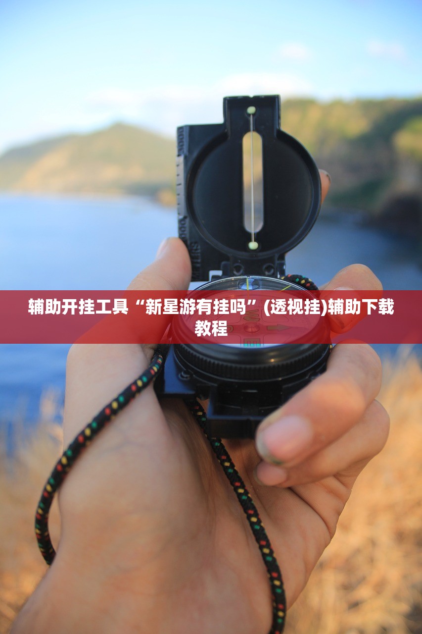 辅助开挂工具“新星游有挂吗	”(透视挂)辅助下载教程