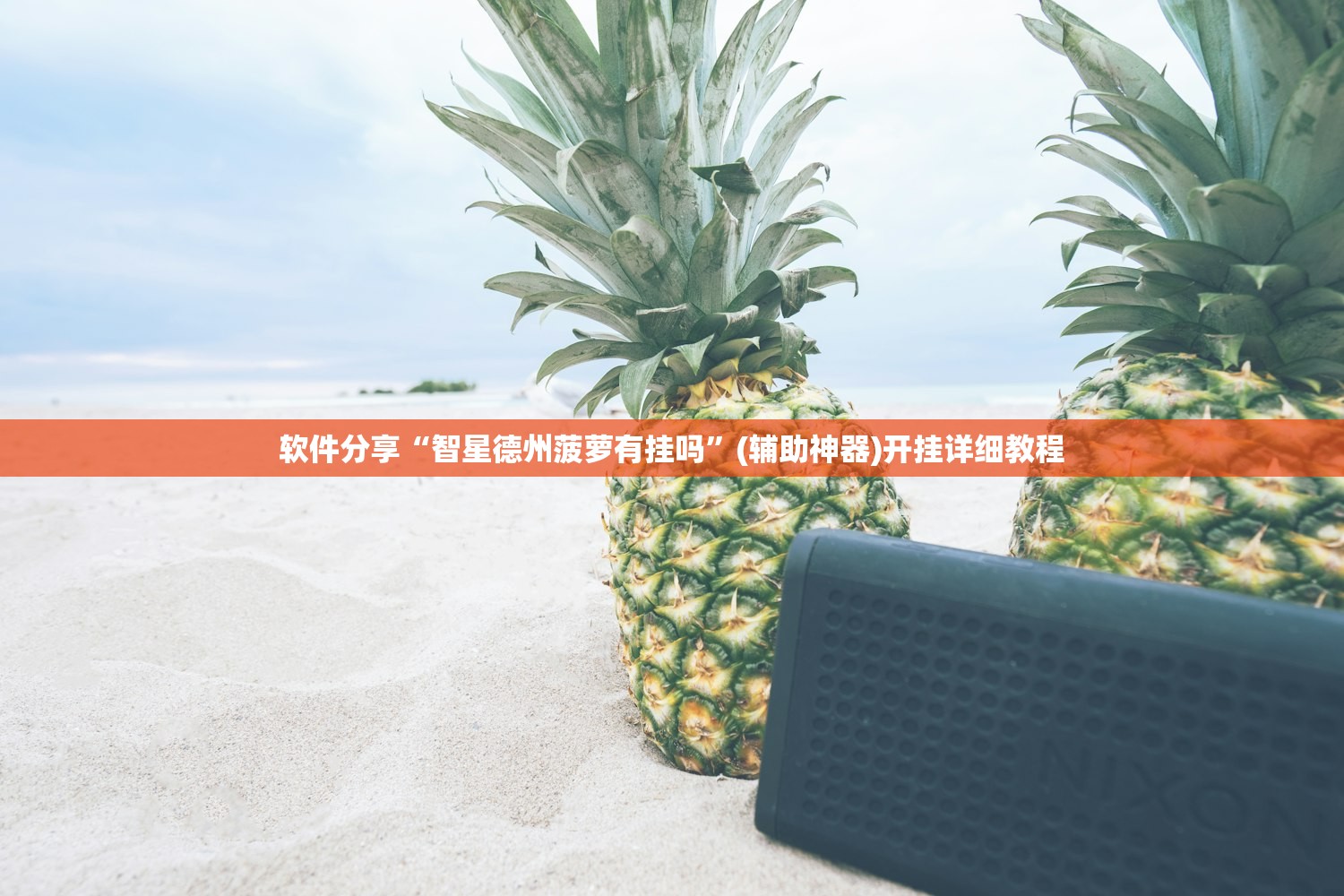 小飞虎货车价位/小飞虎单排小货车报价