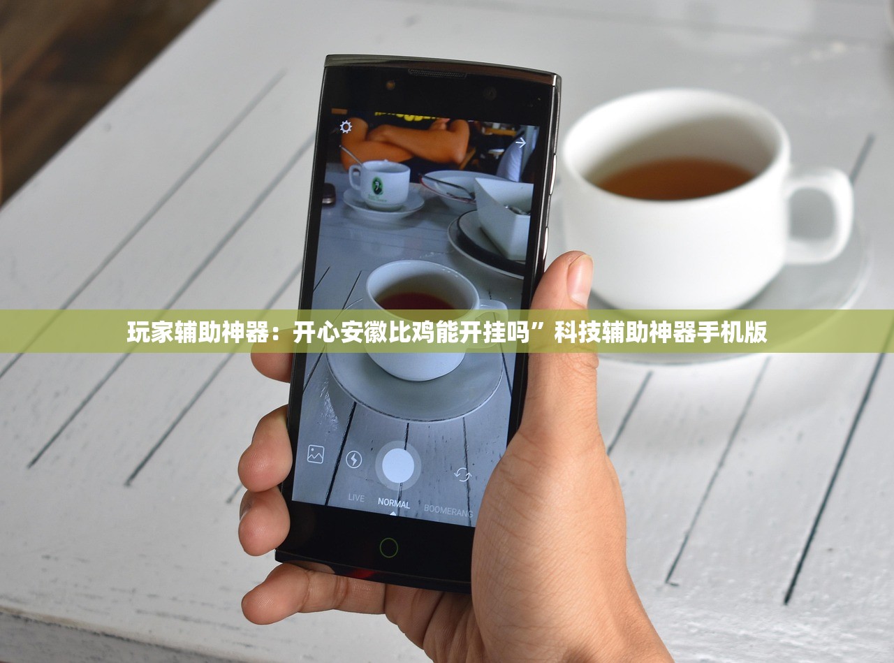 玩家辅助神器：开心安徽比鸡能开挂吗”科技辅助神器手机版