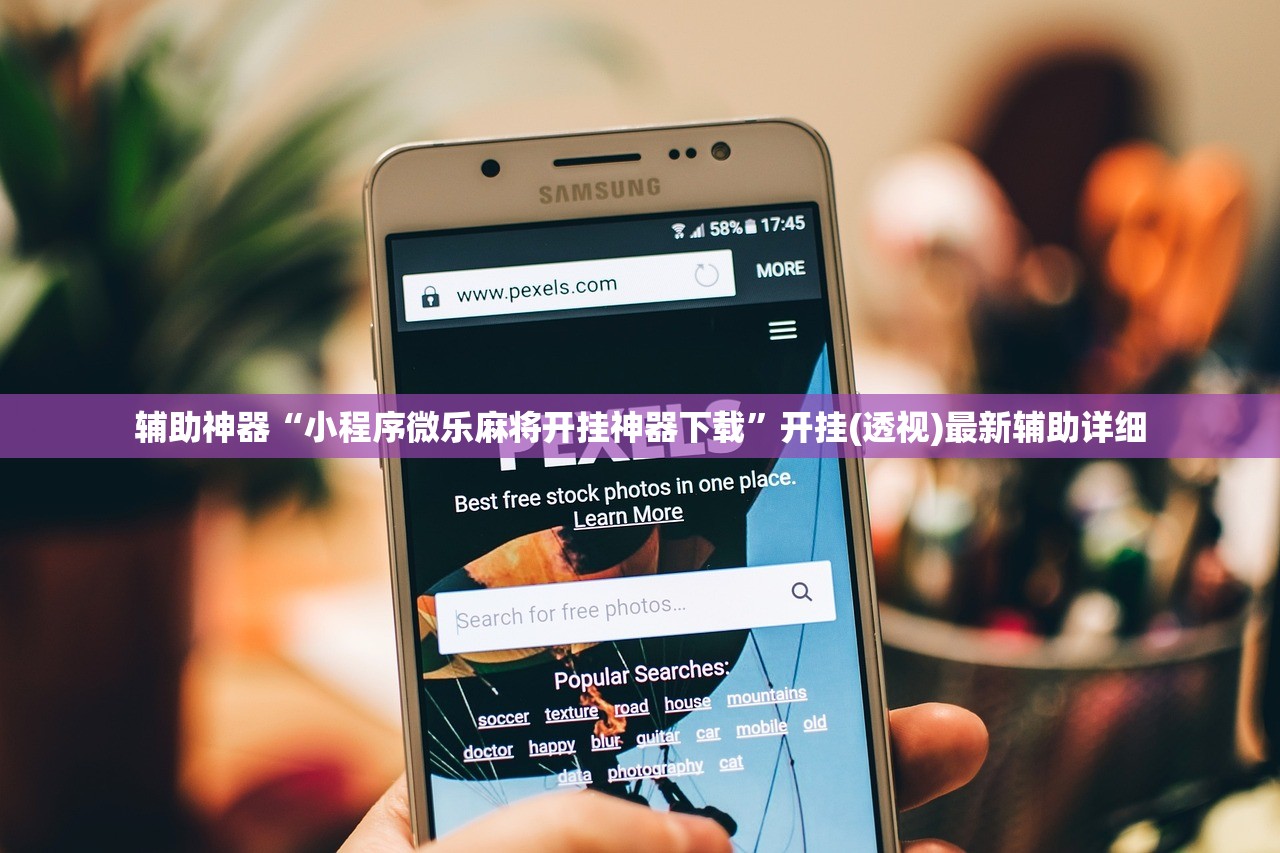 辅助神器“小程序微乐麻将开挂神器下载”开挂(透视)最新辅助详细