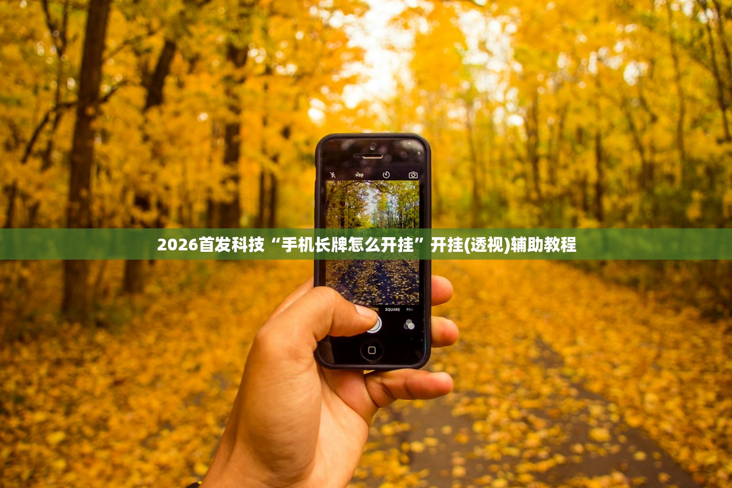 2026首发科技“手机长牌怎么开挂”开挂(透视)辅助教程