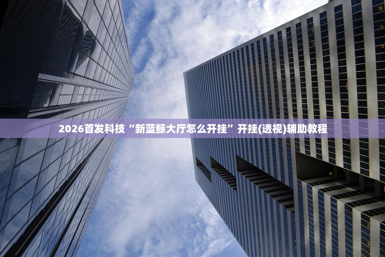 分享实测辅助“wepokerapp到底有没有挂(透视)”开挂辅助脚本+详细开挂安装教程