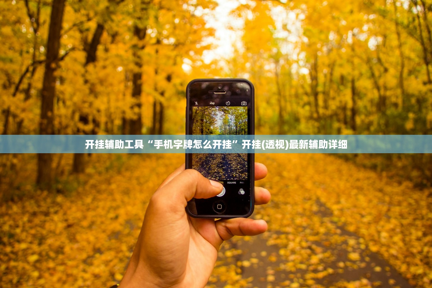 开挂辅助工具“手机字牌怎么开挂”开挂(透视)最新辅助详细
