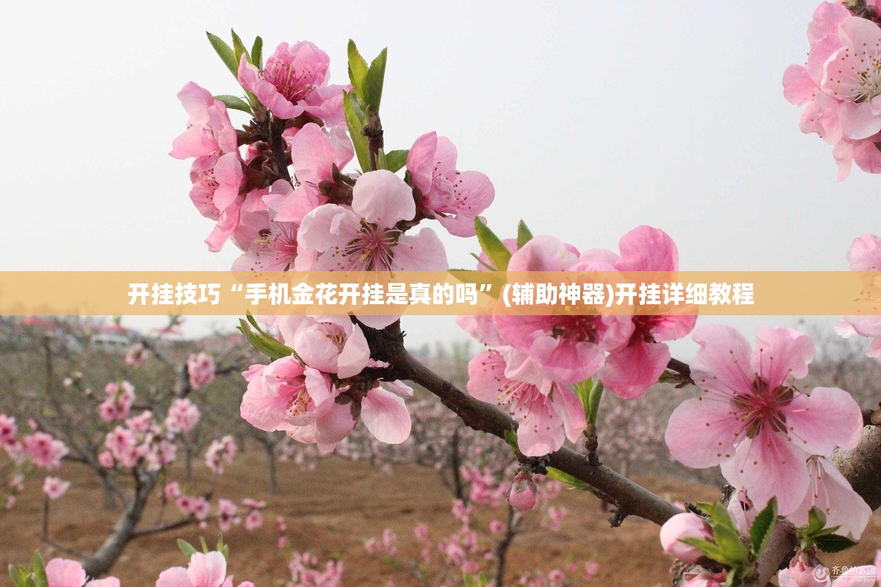 开挂技巧“手机金花开挂是真的吗”(辅助神器)开挂详细教程