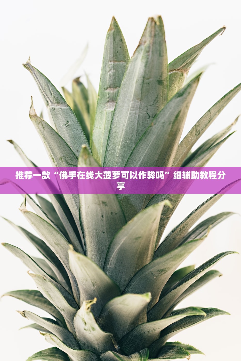 推荐一款“佛手在线大菠萝可以作弊吗”细辅助教程分享