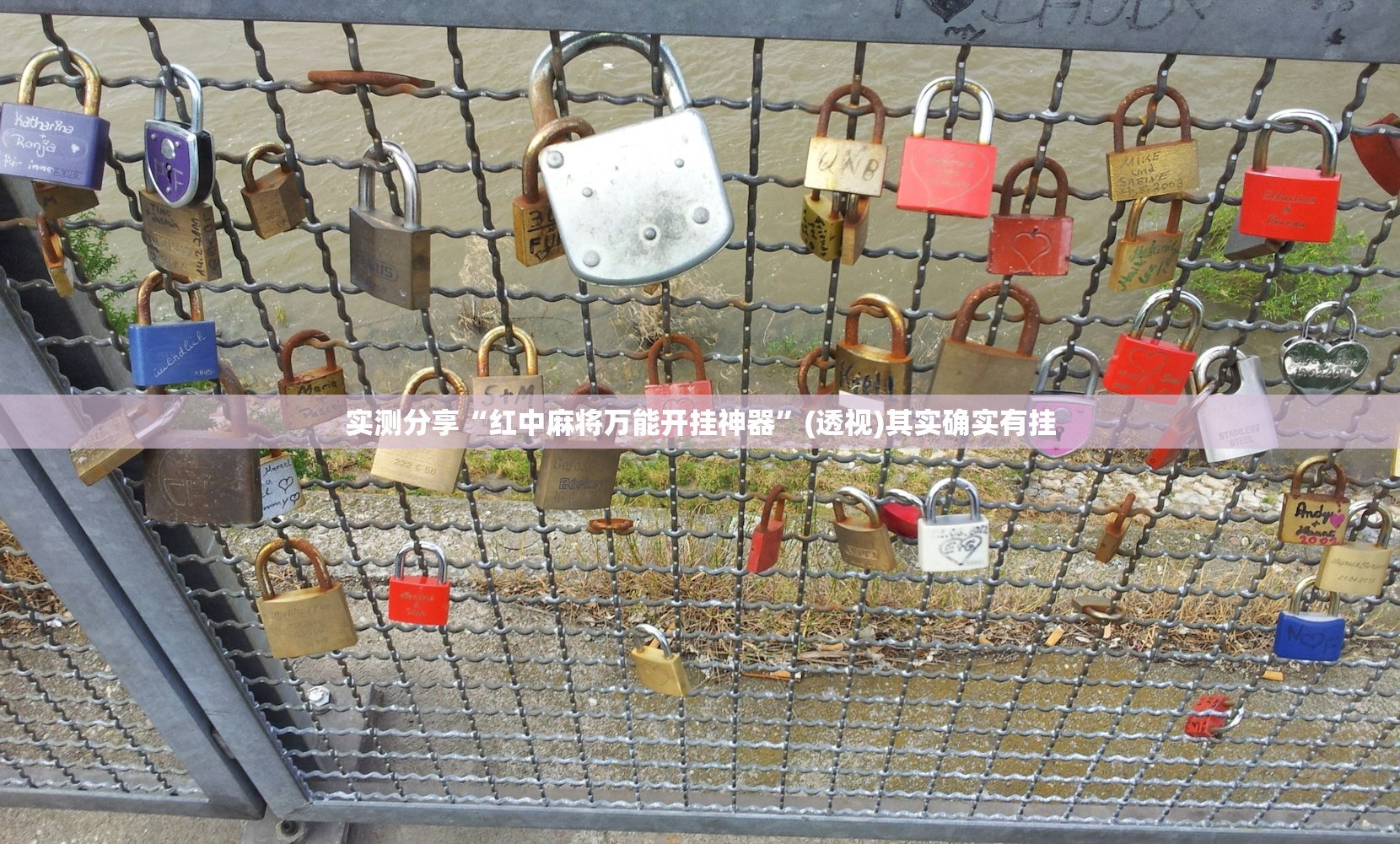 推荐一款“佛手在线大菠萝可以作弊吗”细辅助教程分享