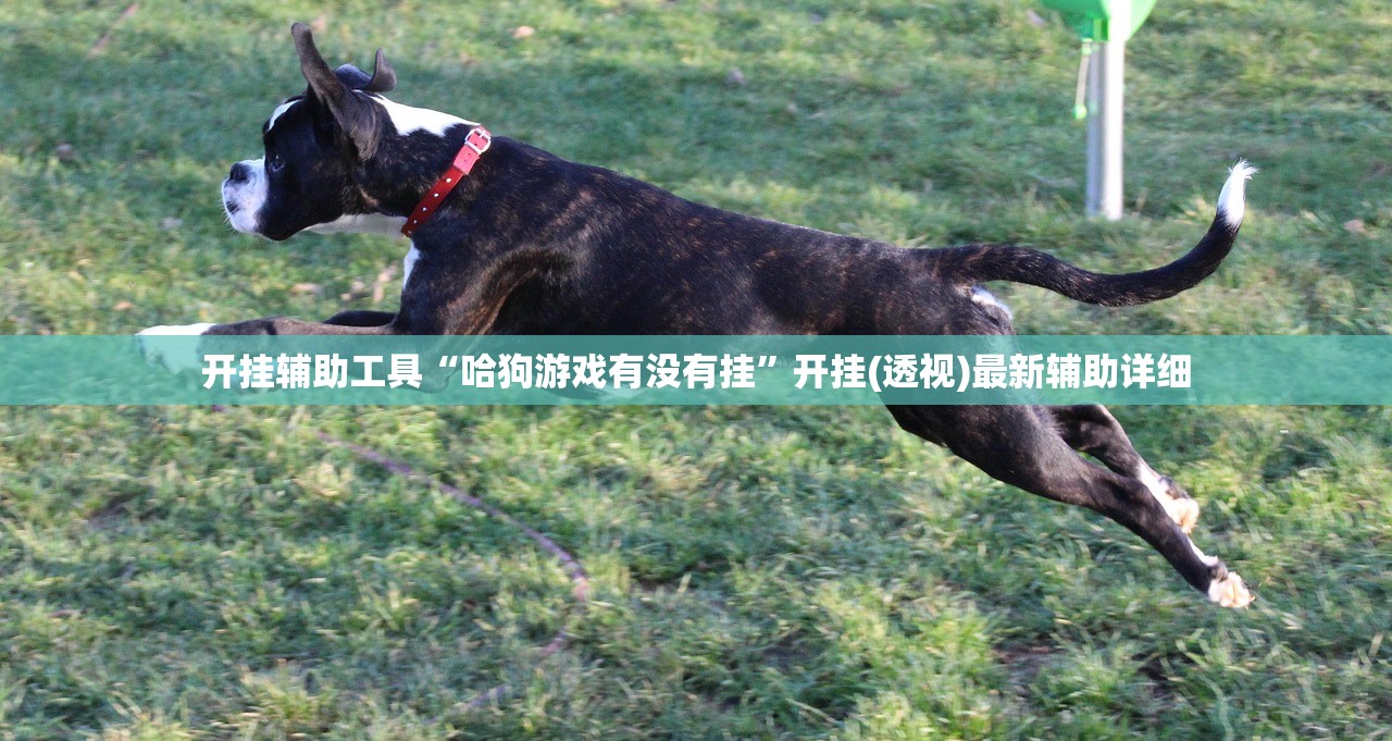 开挂辅助工具“哈狗游戏有没有挂”开挂(透视)最新辅助详细