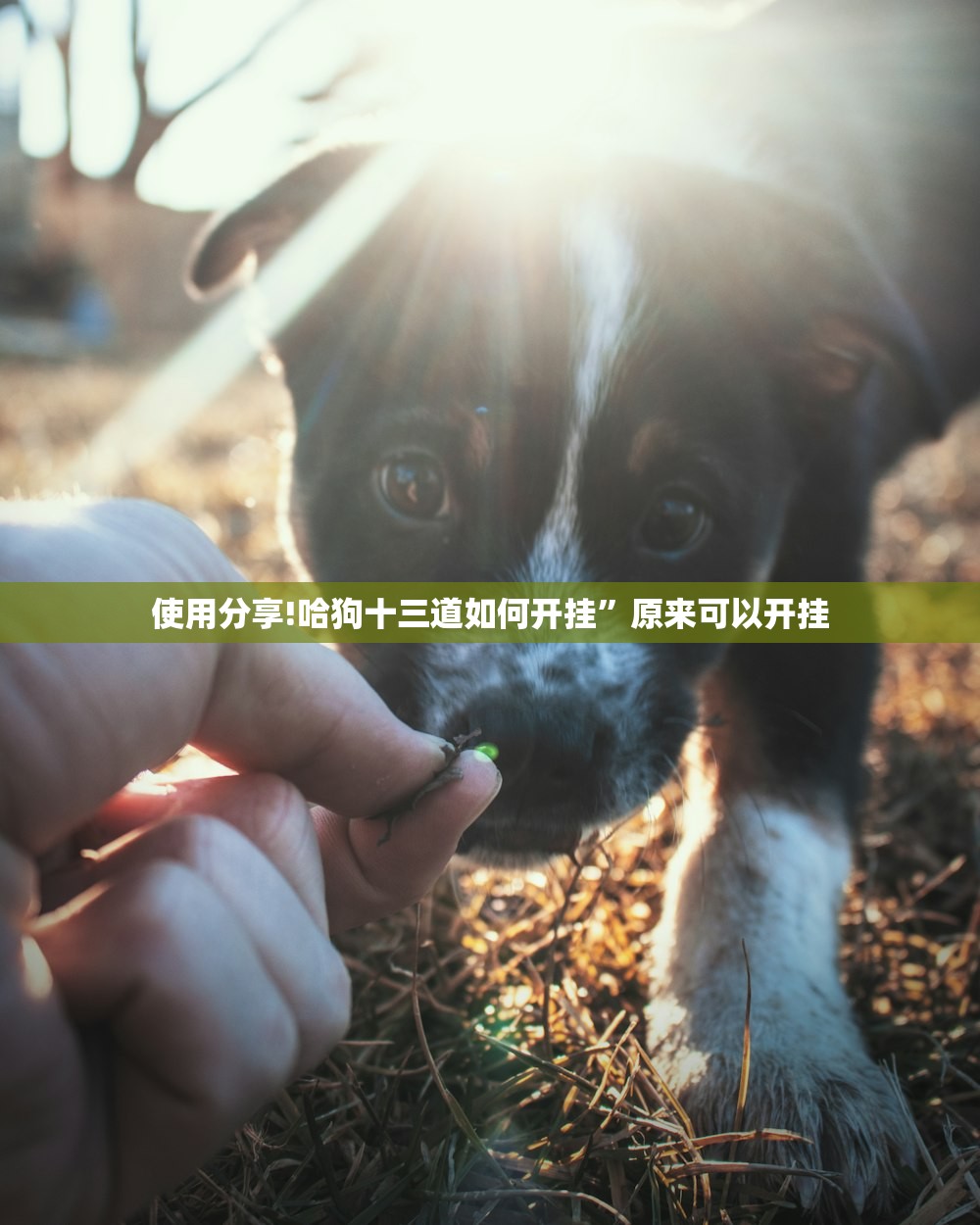 车年检可以提前多久:家用汽车年检可以提前多久