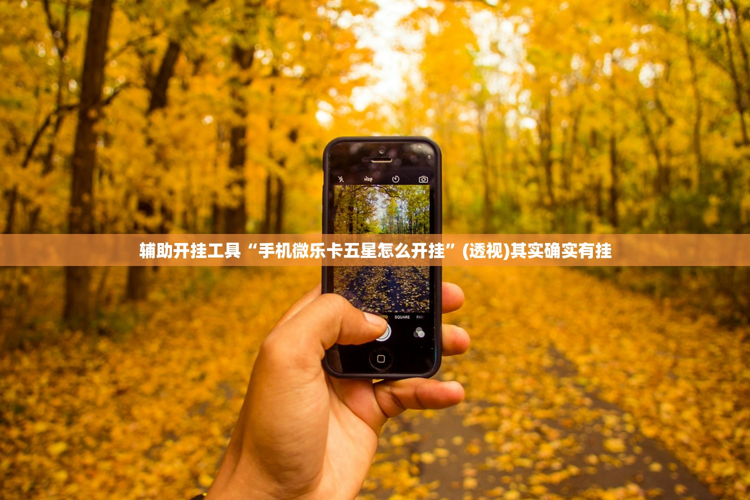 教程分享“欢乐五张到底有没有挂”科技辅助神器手机版
