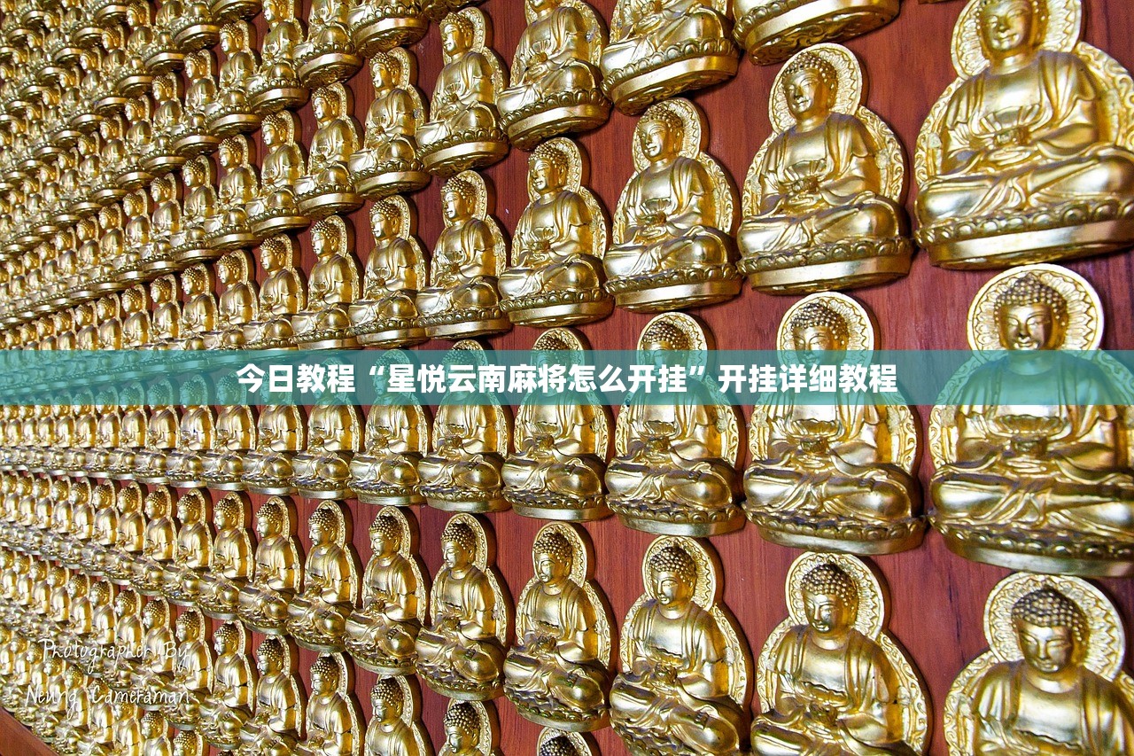 教程辅助!“新祥心大厅到底有没有挂”开挂详细教程