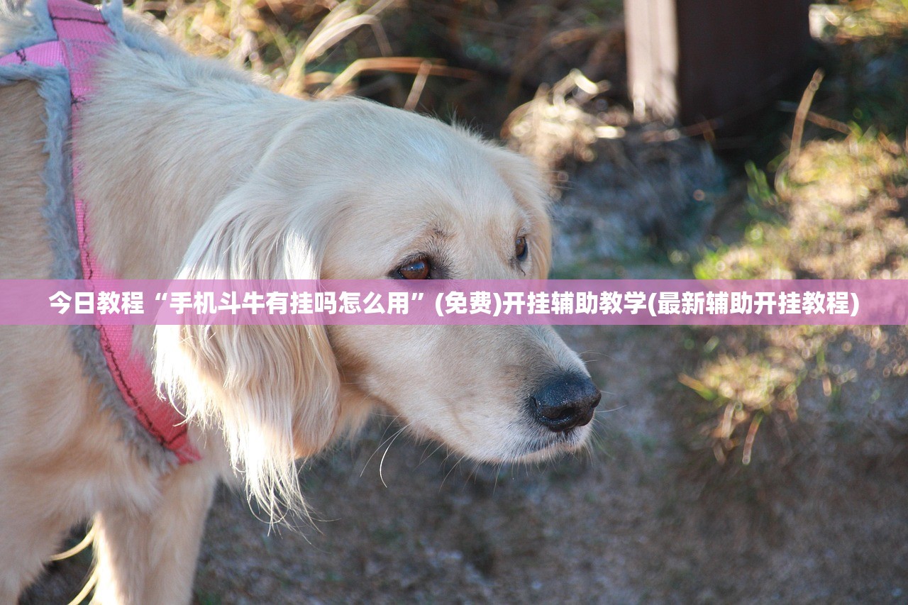 天津累计本土确诊31例:天津累计确诊病例4515例