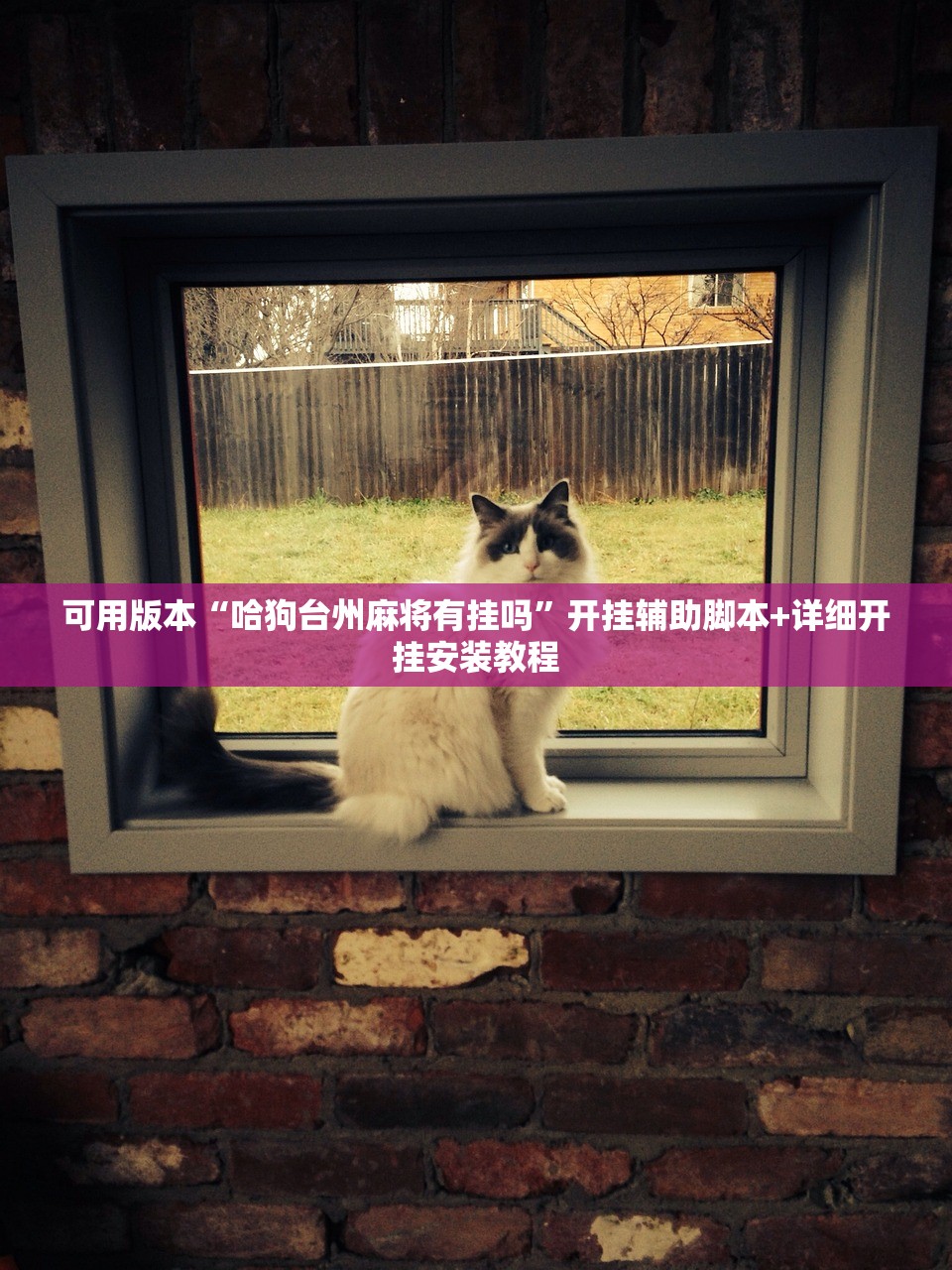 可用版本“哈狗台州麻将有挂吗”开挂辅助脚本+详细开挂安装教程