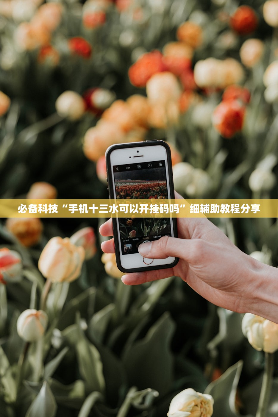 必备科技“手机十三水可以开挂码吗	”细辅助教程分享