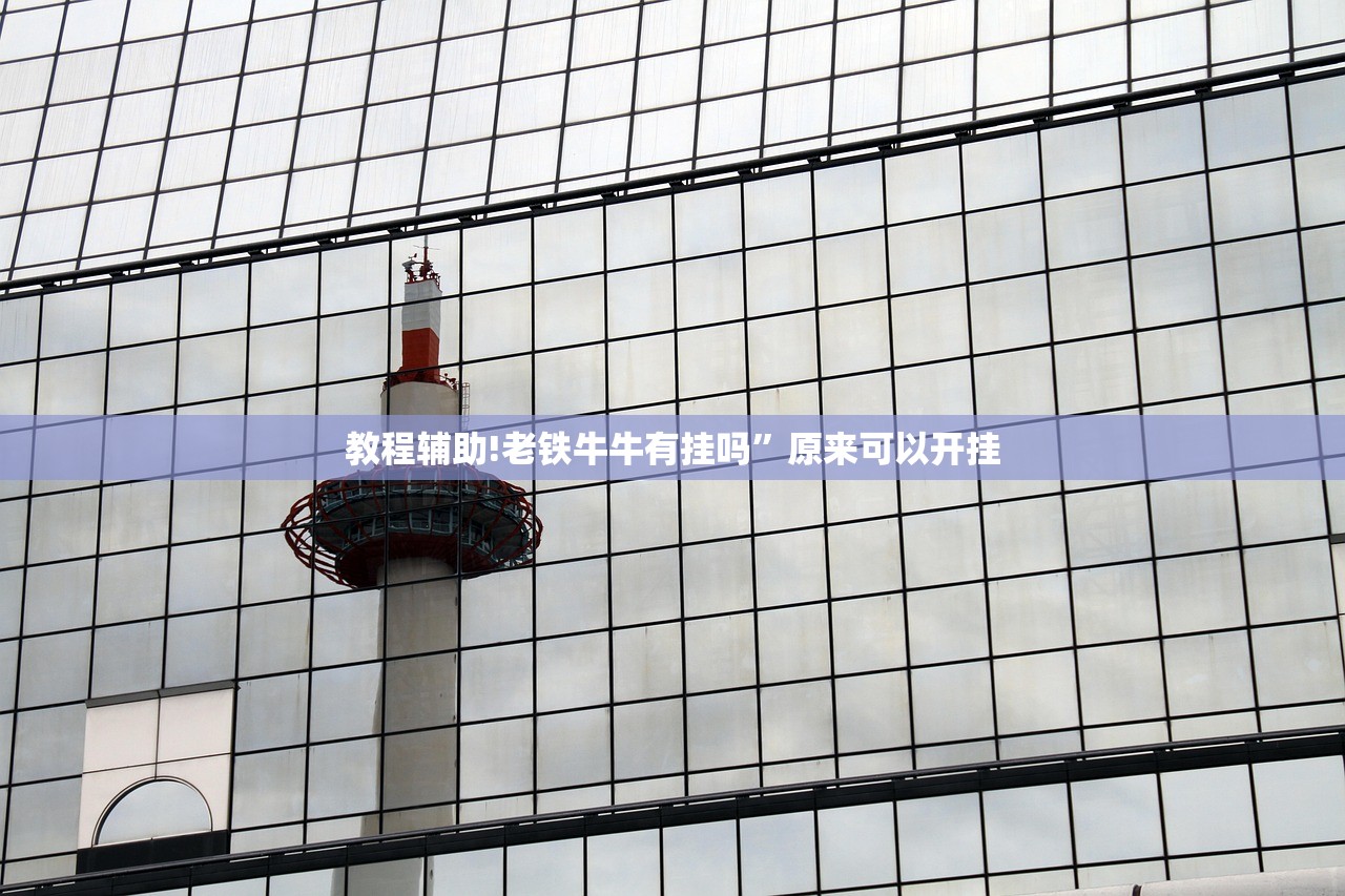 开挂辅助工具“新蛮王大厅辅助软件”细辅助教程分享