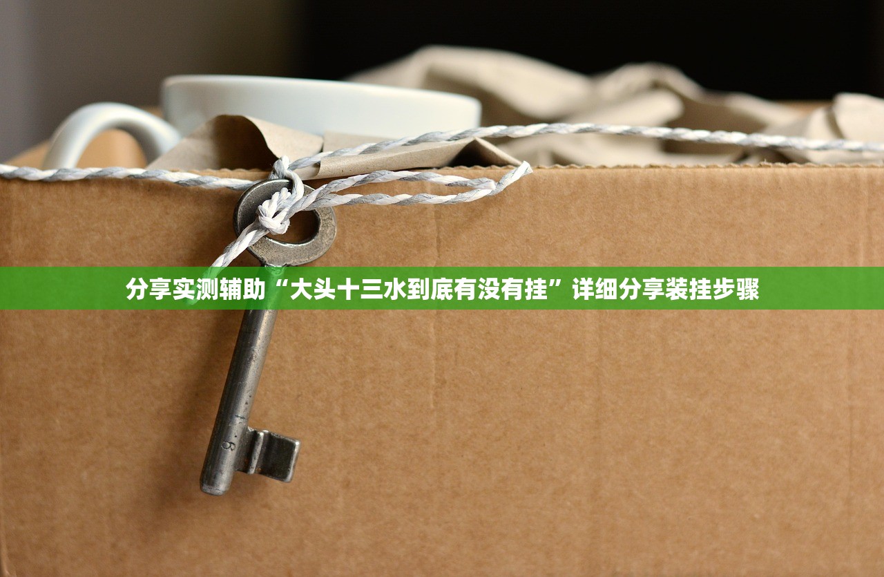 分享实测辅助“大头十三水到底有没有挂	”详细分享装挂步骤