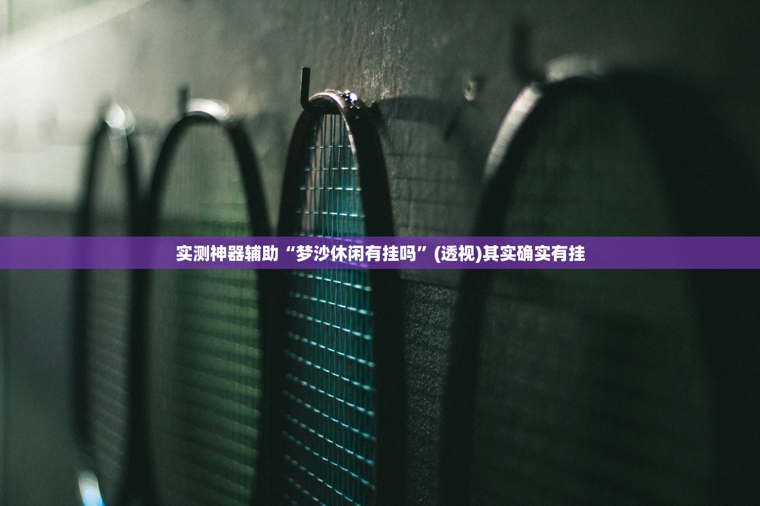 实测神器辅助“梦沙休闲有挂吗”(透视)其实确实有挂