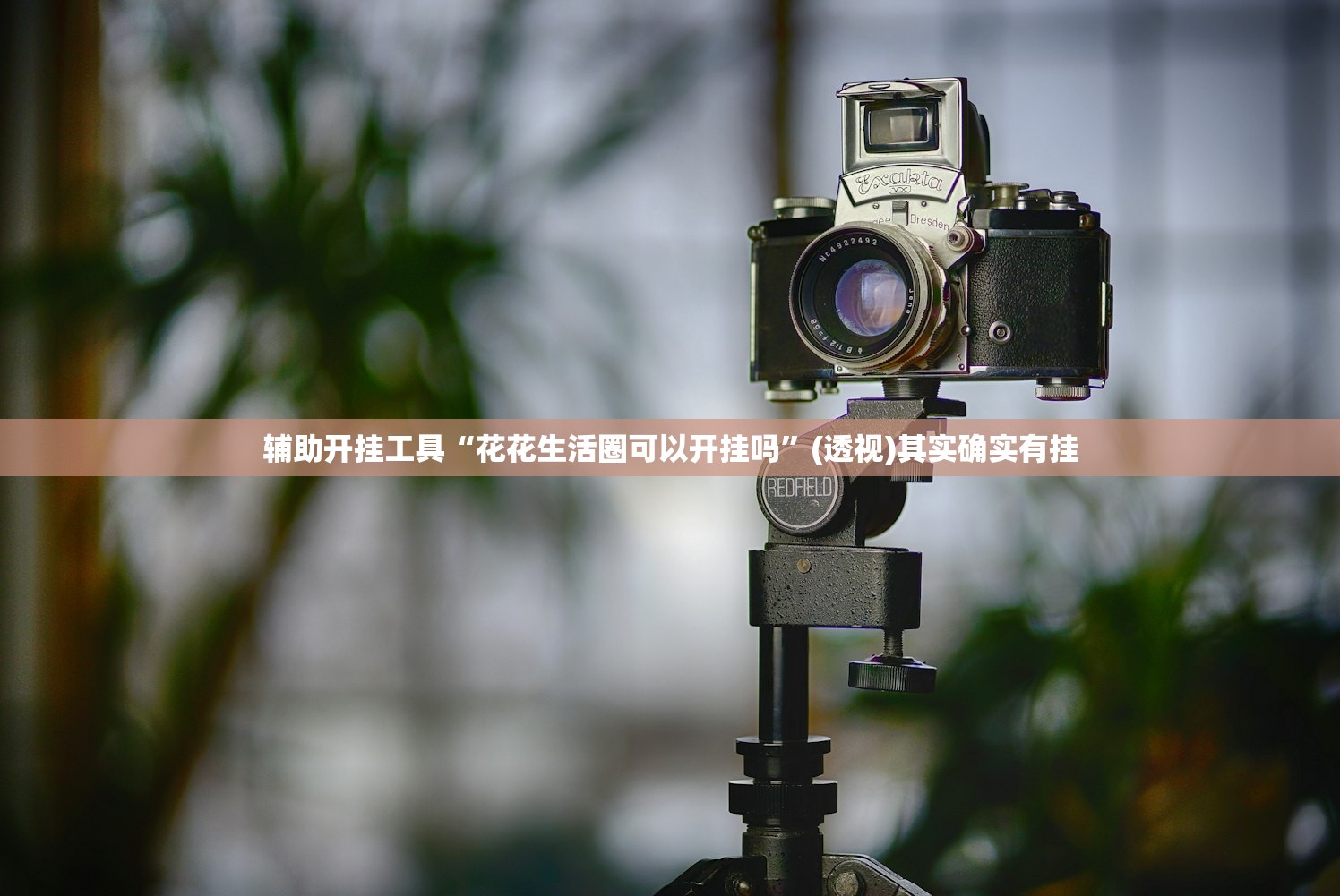 辅助开挂工具“花花生活圈可以开挂吗”(透视)其实确实有挂