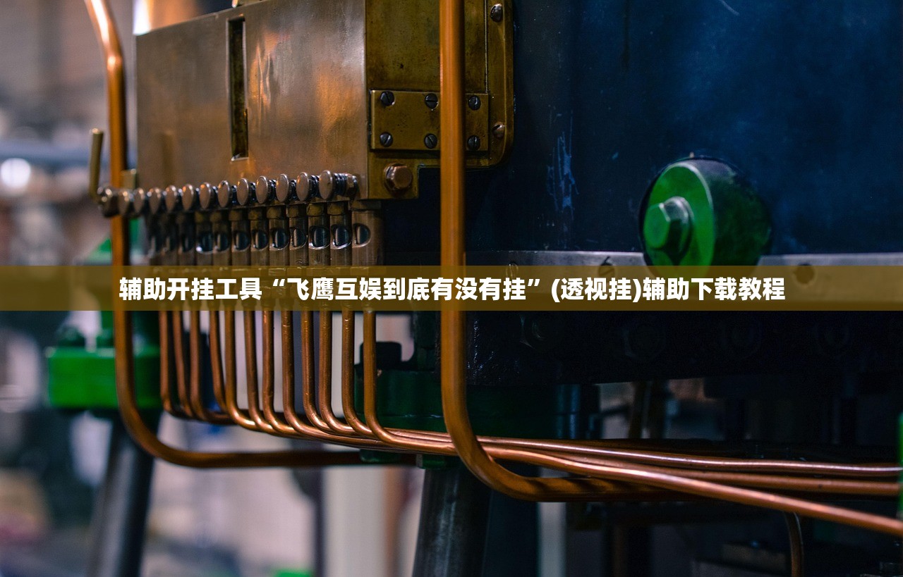 辅助开挂工具“飞鹰互娱到底有没有挂	”(透视挂)辅助下载教程