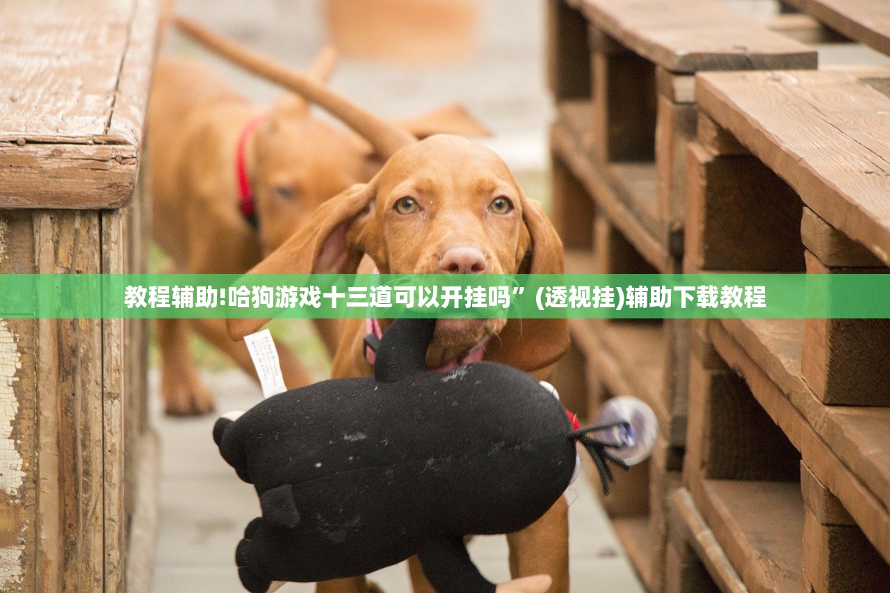 教程辅助!雀友茶苑有挂吗”(透视)其实确实有挂