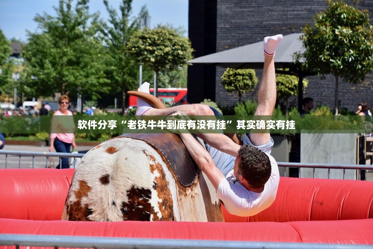 玩家必读“掌酷十三水万能辅助器使用方法”原来可以开挂